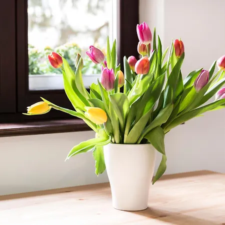 Victus Apartamenty, Abrahama ソポト