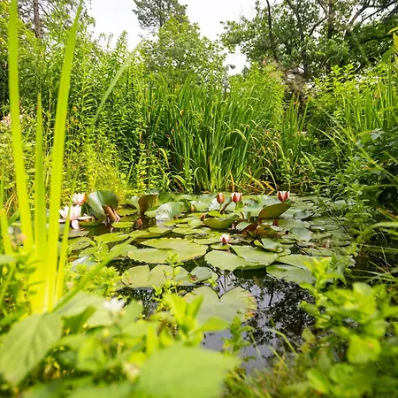 Victus Apartamenty, Abrahama Lejlighed