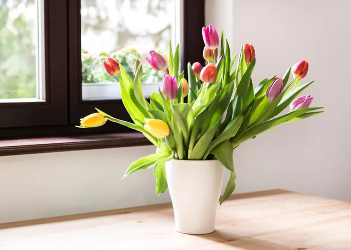 Victus Apartamenty, Abrahama Sopot