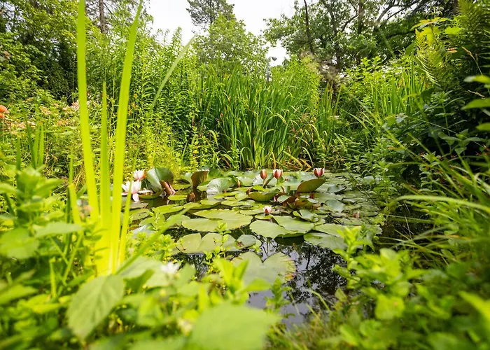 Victus Apartamenty, Abrahama Lejlighed